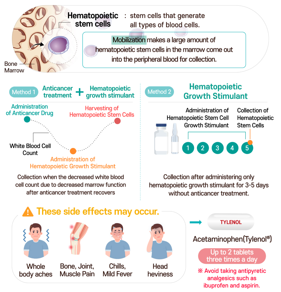 Hematopoietic Stem Cell Transplantation · Donation Guidance | Medical ...